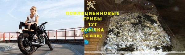 бутират Богородицк