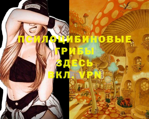 индика Беломорск