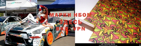 индика Беломорск