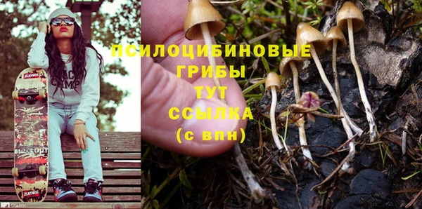2c-b Богородск