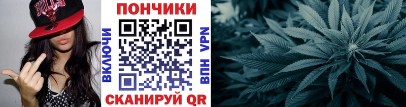 Бошки марихуана SATIVA & INDICA Данилов